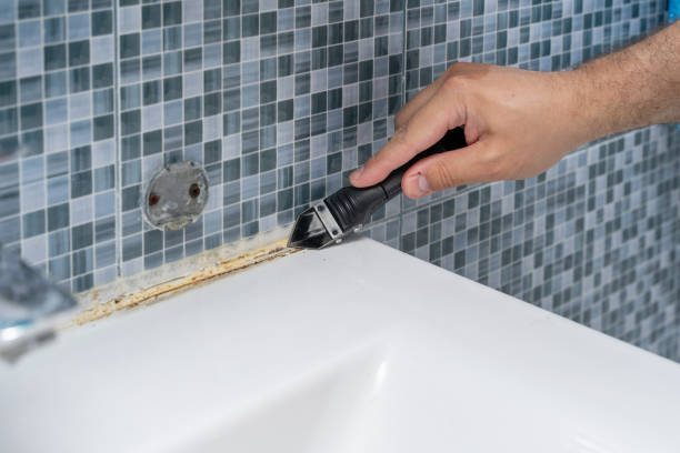 Best Local Mold Removal Service  in Trowbridge Park, MI
