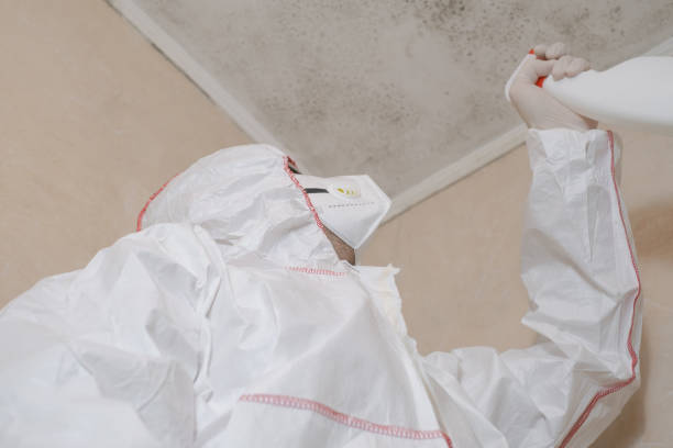 Best Mold Cleaning Services  in Trowbridge Park, MI