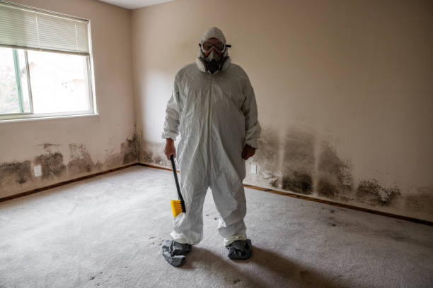 Best Crawl Space Mold Removal  in Trowbridge Park, MI